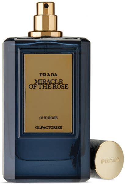 miracle of the rose prada|Prada mirages.